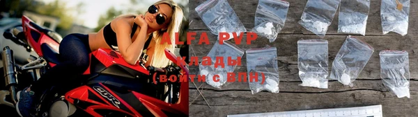 индика Сясьстрой
