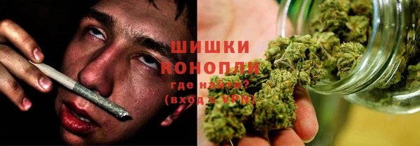 сатива Михайлов