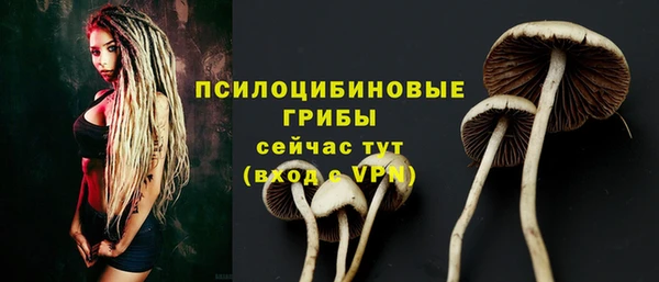 прущие грибы Михайловка