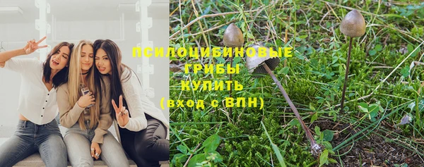 сатива Михайлов