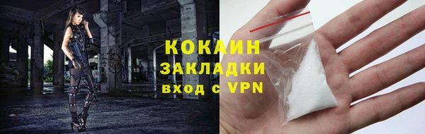 прущие грибы Михайловка