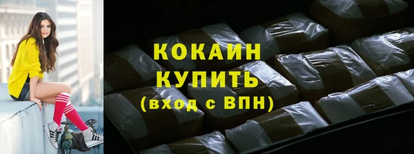 прущие грибы Михайловка