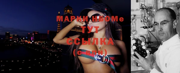 индика Гусев