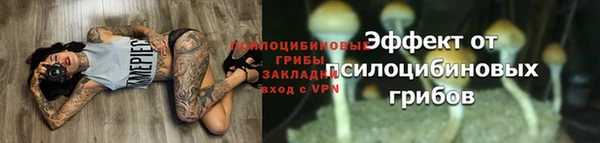 МДПВ Яранск
