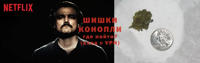 PSILOCYBIN Михайловск