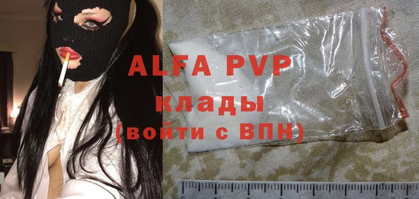прущие грибы Михайловка