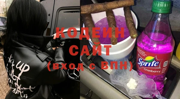 прущие грибы Апатиты