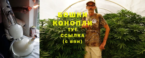 сатива Михайлов