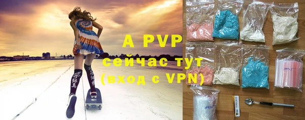 прущие грибы Михайловка