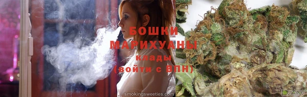 сатива Михайлов