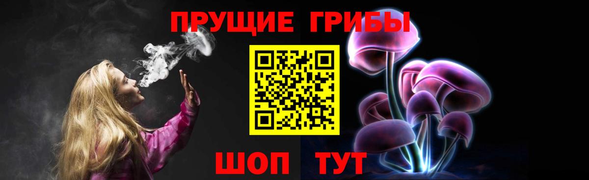 Галлюциногенные грибы MAGIC MUSHROOMS  Вход с VPN  Георгиевск 
