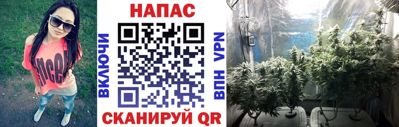 Бошки марихуана ГИДРОПОН  kraken tor  Георгиевск  где купить наркоту 